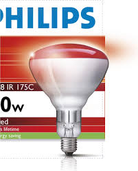 Philips Infrared Bulb – 250 W