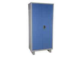 2-Door Medical Instrument Cabinet